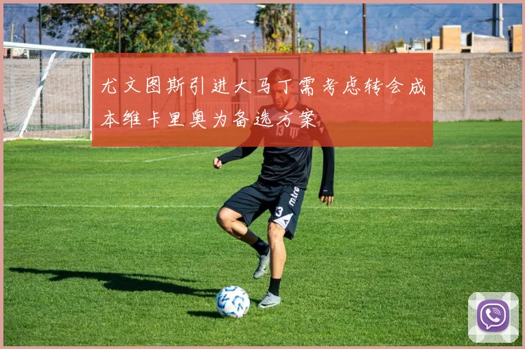 尤文图斯引进大马丁需考虑转会成本维卡里奥为备选方案