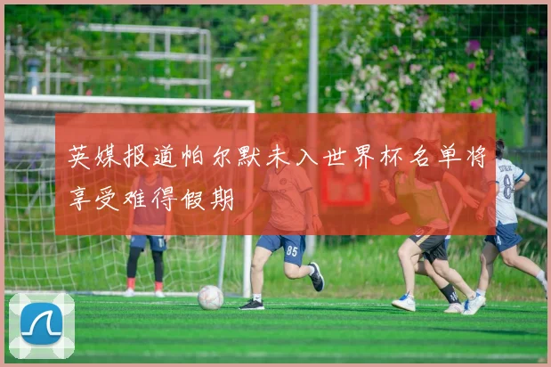 英媒报道帕尔默未入世界杯名单将享受难得假期